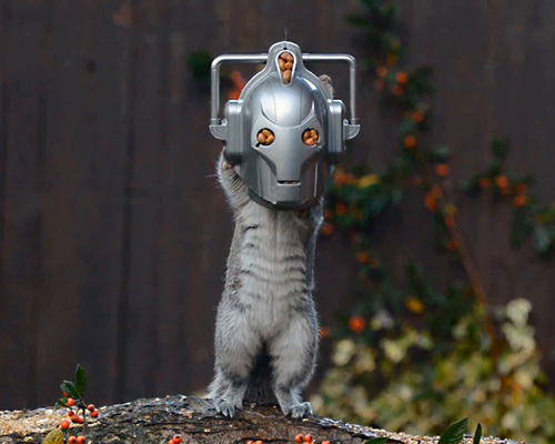 sci-fi nut feeder turns snacking squirrels into doctor who cybermen