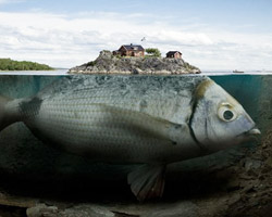 surreal photomanipulation by erik johansson