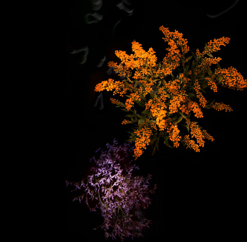flower petal fireworks by sarah illenberger ring in the new year