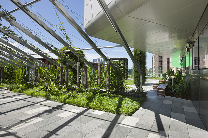 conrad gargett lyons completes lady cilento children's hospital