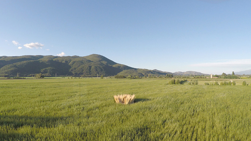 normal architecture studio wicker metamorphosis low cost workstation chile designboom
