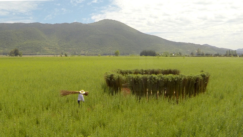 normal architecture studio wicker metamorphosis low cost workstation chile designboom