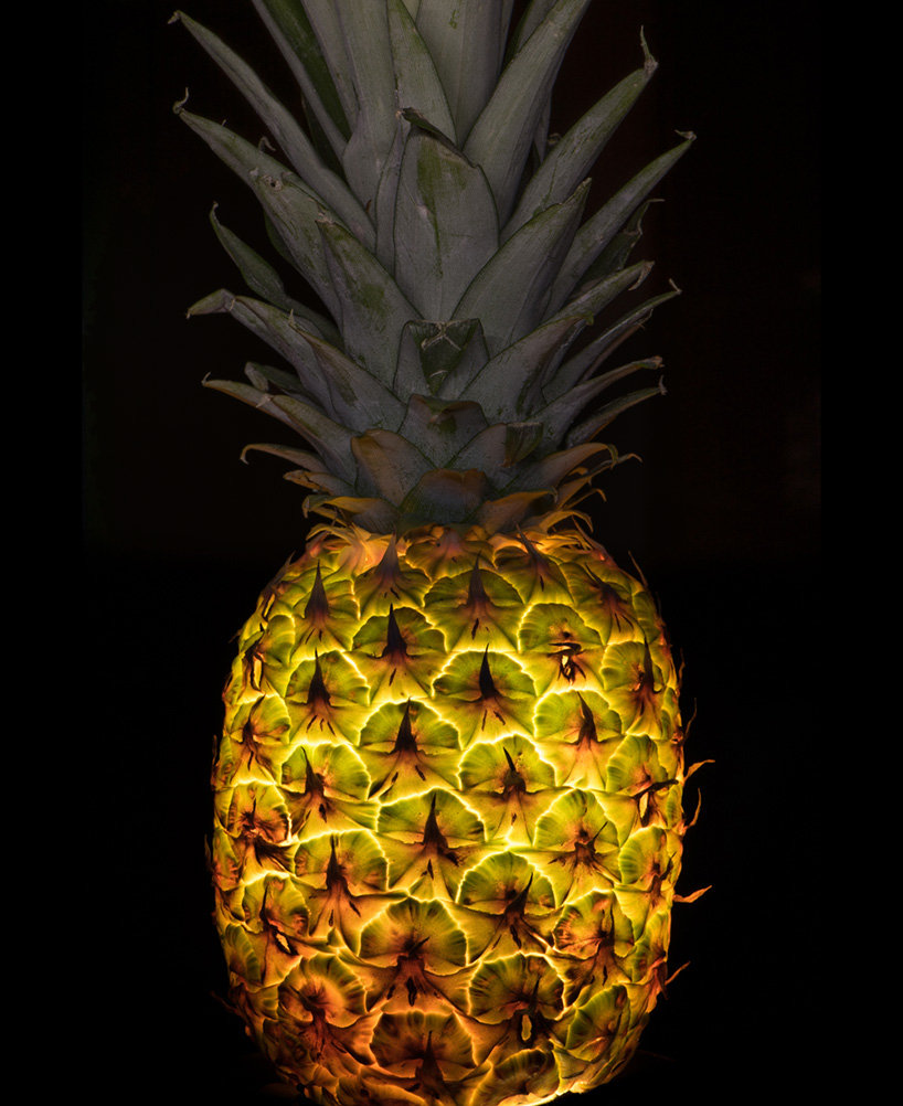 fruit and vegetable light radu zaciu