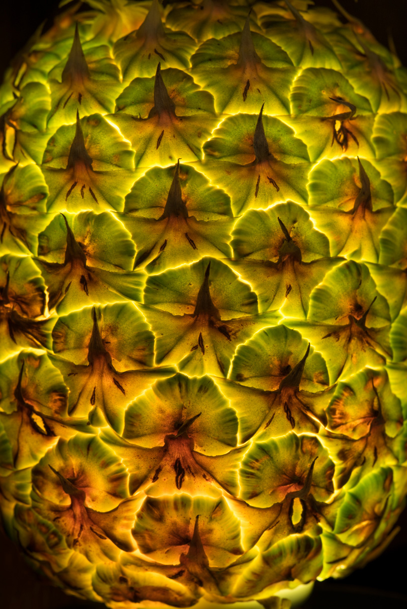 fruit and vegetable light radu zaciu