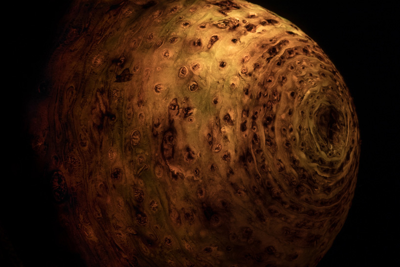 radu zaciu turns real fruits and vegetables into light bulbs