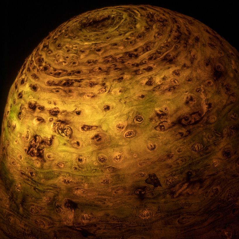 radu zaciu turns real fruits and vegetables into light bulbs