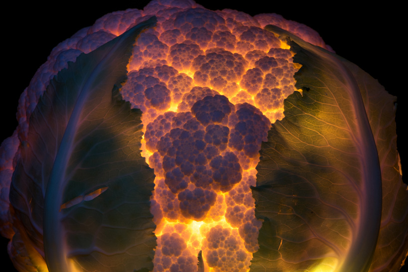 fruit and vegetable light radu zaciu