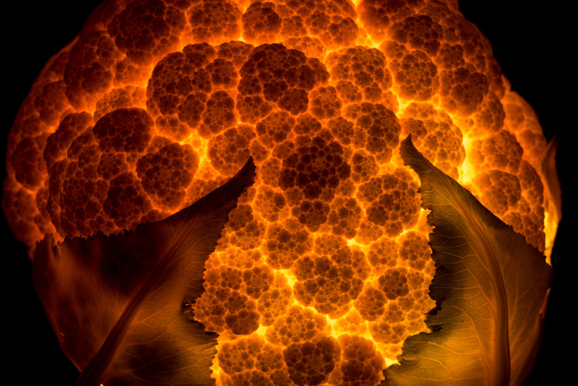 fruit and vegetable light radu zaciu