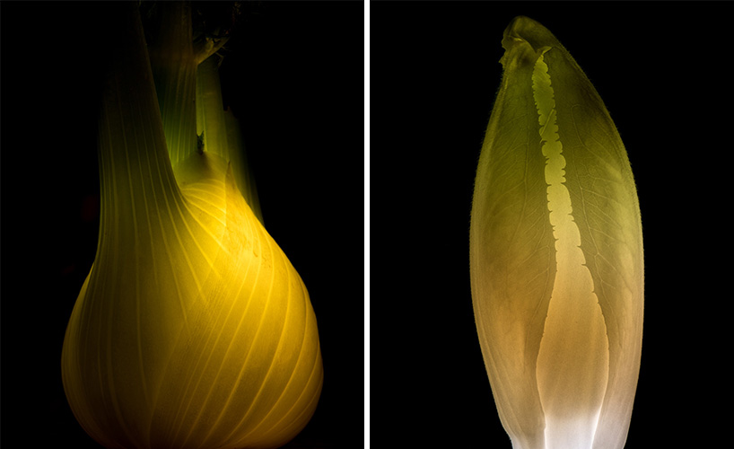 radu zaciu turns real fruits and vegetables into light bulbs