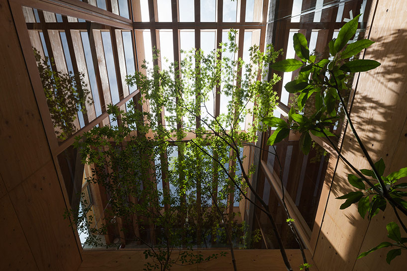 UID architects constructs concrete-shelled shrimp residence