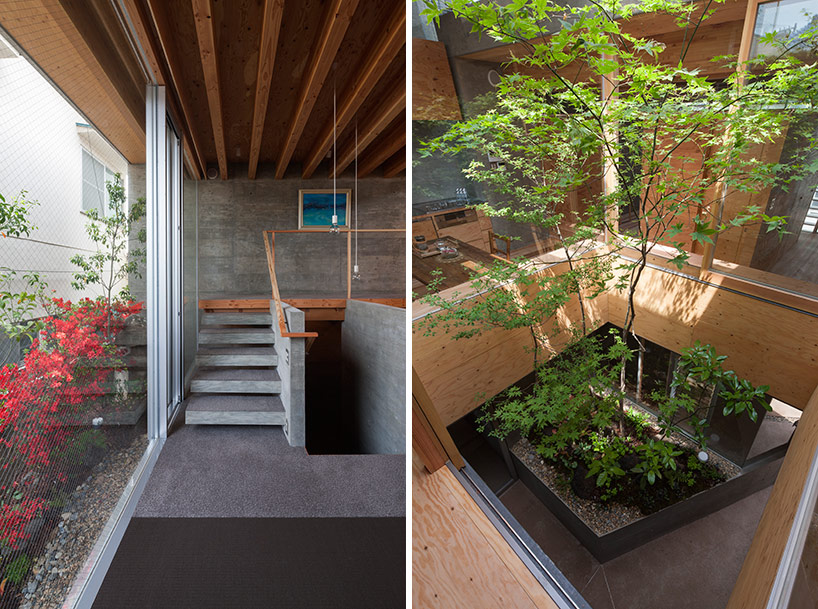 UID architects constructs concrete-shelled shrimp residence