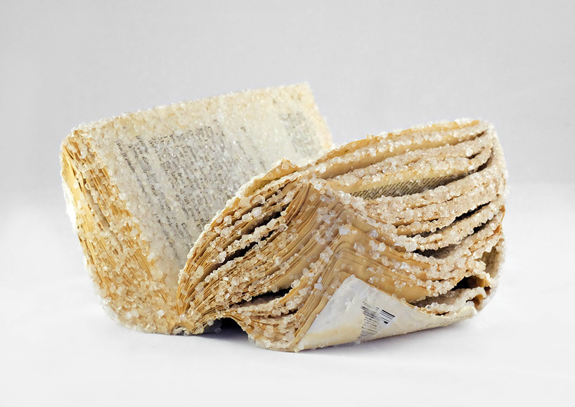 alexis arnold grows crystallized books using discarded literature