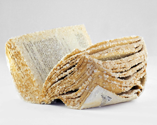 alexis arnold grows crystallized books using discarded literature