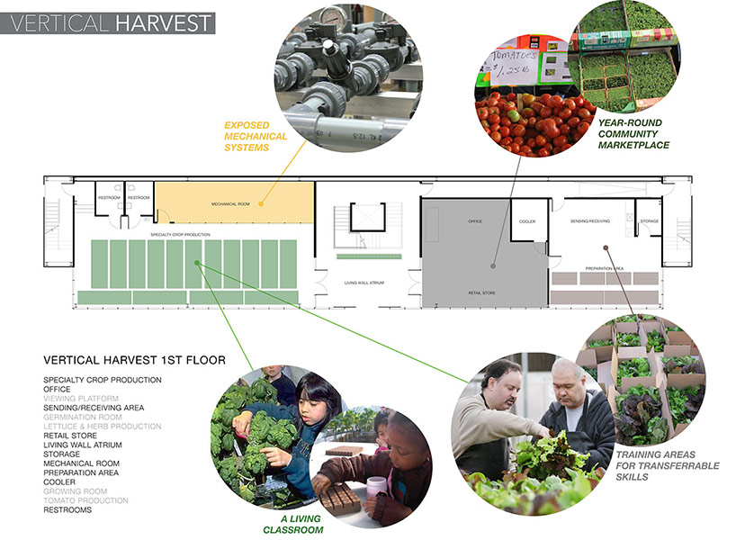 vertical harvest urban farm by e/ye design under construction