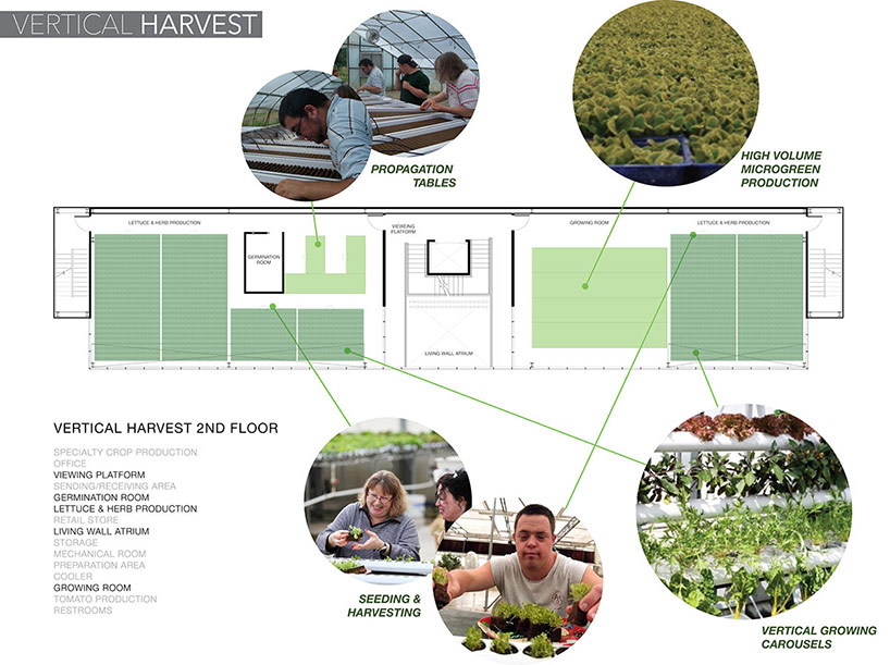 vertical harvest urban farm by e/ye design under construction