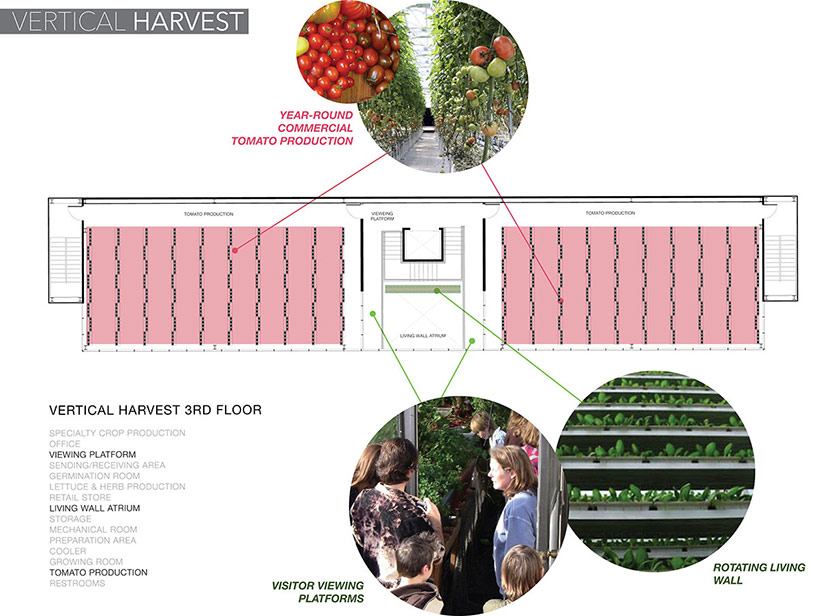 vertical harvest urban farm by e/ye design under construction