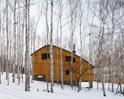 a forest of birch trees surrounds hiroshi horio's house in yobito