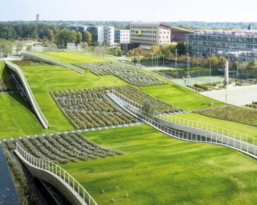 jean-philippe pargade designs undulating green roofs for university campus near paris