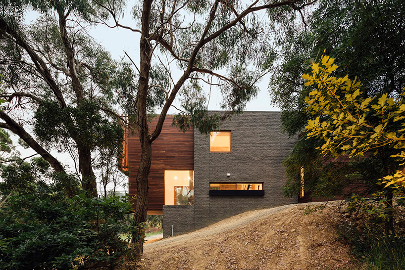 maloney architects constructs the invermay house of concrete, wood, and glass