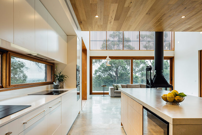 maloney architects constructs the invermay house of concrete, wood, and glass