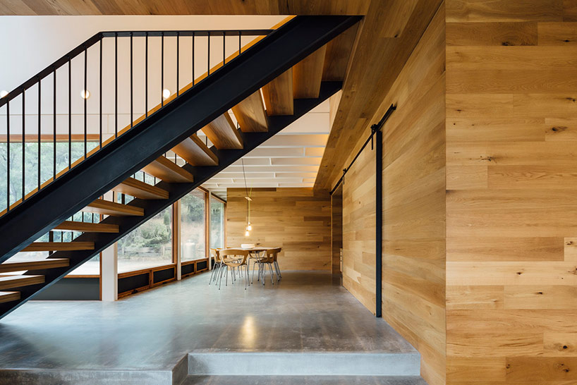 maloney architects constructs the invermay house of concrete, wood, and glass