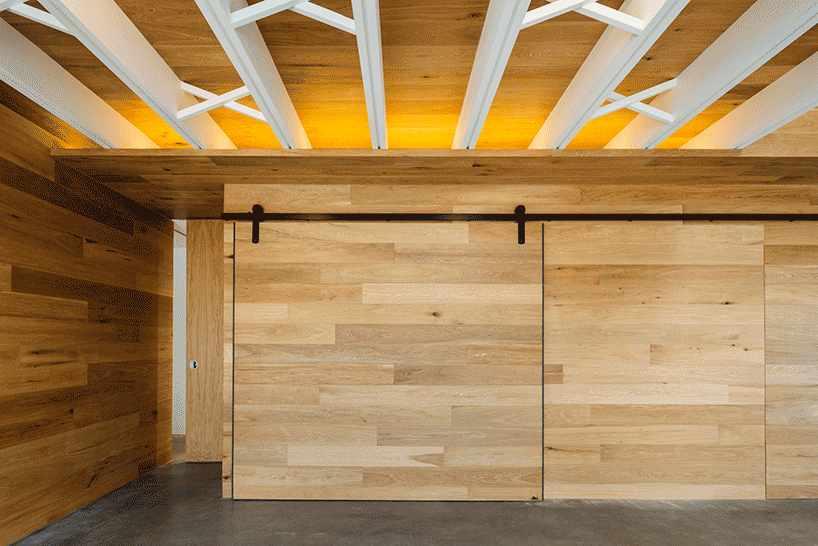 maloney architects constructs the invermay house of concrete, wood, and