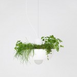 Object Interface Lighting versatile well light by object interface illuminates suspended vegetation
