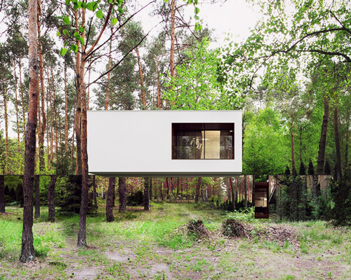 reform architekt's mirrored home hovers between the trees