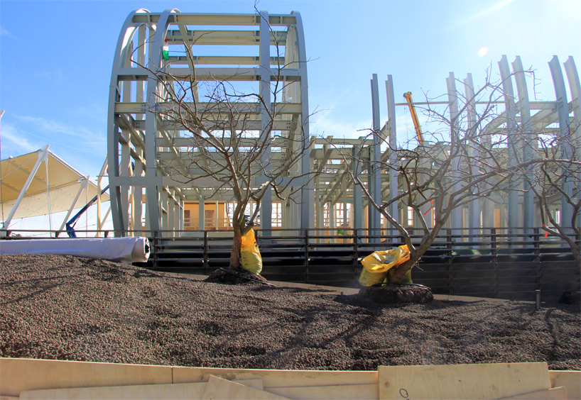 uk pavilion milan expo 2015 wolfgang buttress construction designboom