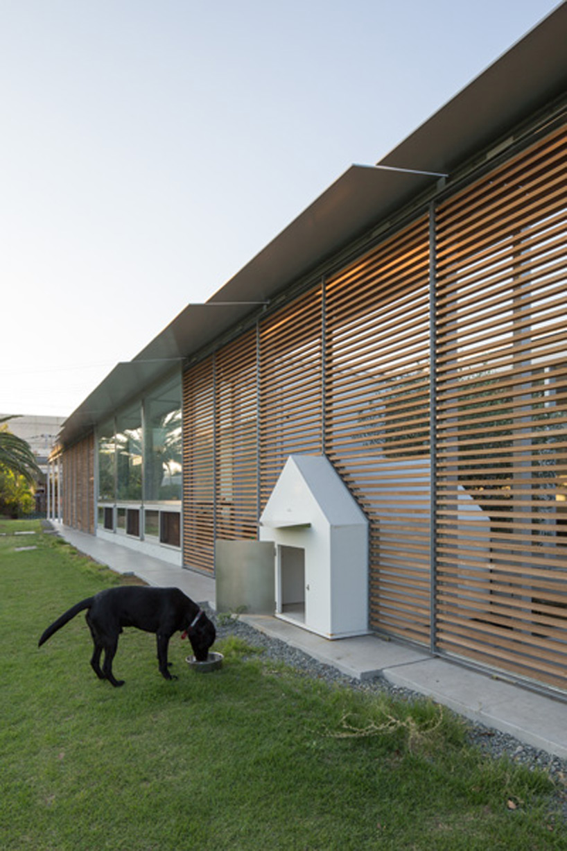 3 kids 2 dogs and the jungle osamu morishita architect japan