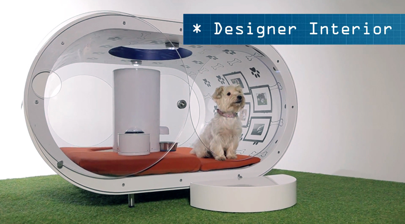 samsung dream doghouse