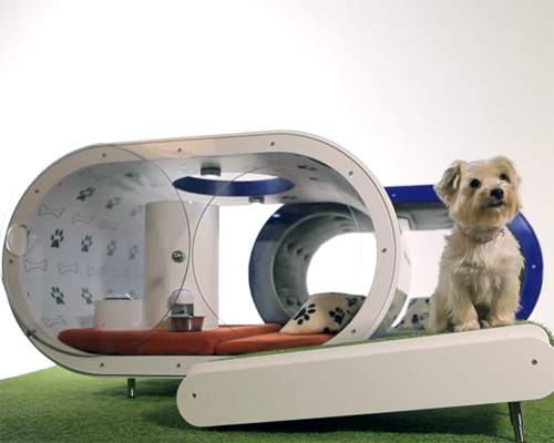 luxury samsung dream doghouse exhibited at the 2015 crufts show