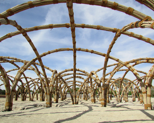 sandra piesik builds food shelter using palm leaves in the UAE