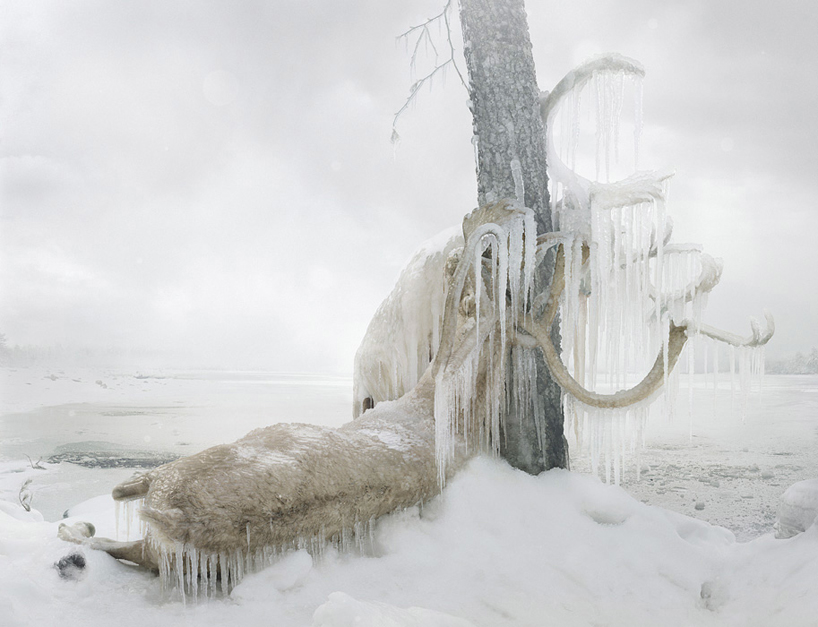 simen-johan-imaginary-animal-kingdom-designboom-101