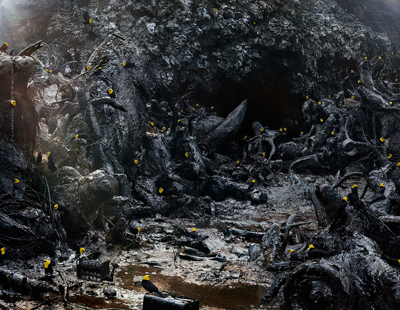 simen-johan-imaginary-animal-kingdom-designboom-112