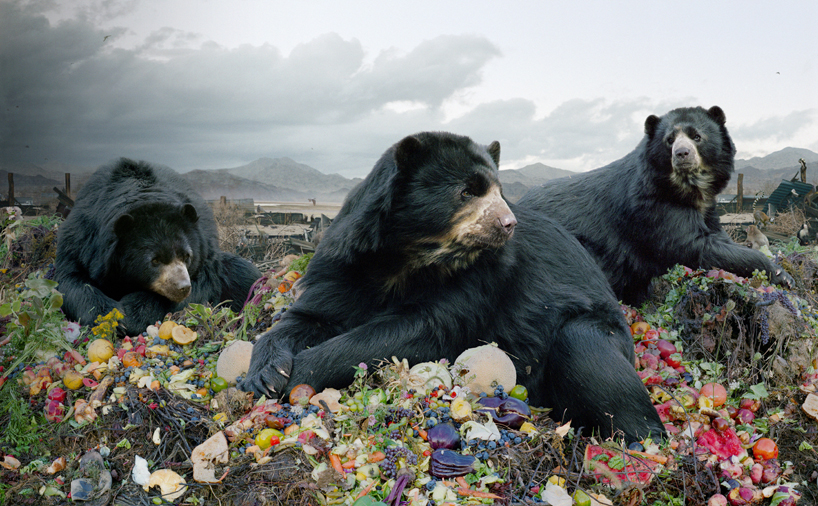 simen-johan-imaginary-animal-kingdom-designboom-115