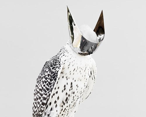 HEAD-genève students' animal party exhibition at ventura lambrate 2015