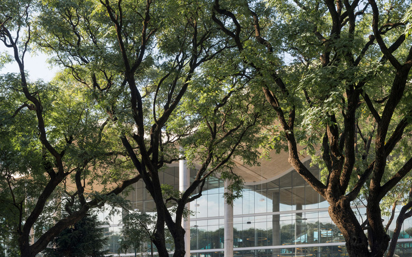 buenos aires town hall foster and partners designboom