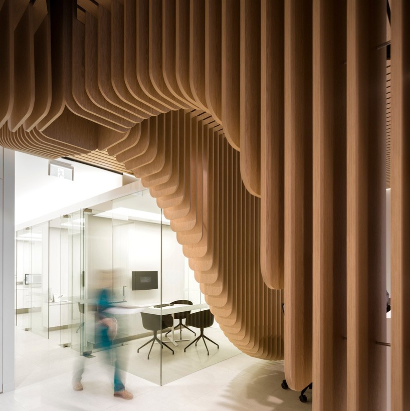 pedra silva architects crafts undulating timber feature in sydney dental clinic
