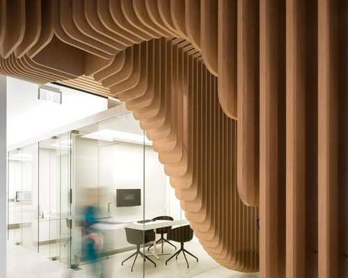 pedra silva architects crafts undulating timber feature in sydney dental clinic