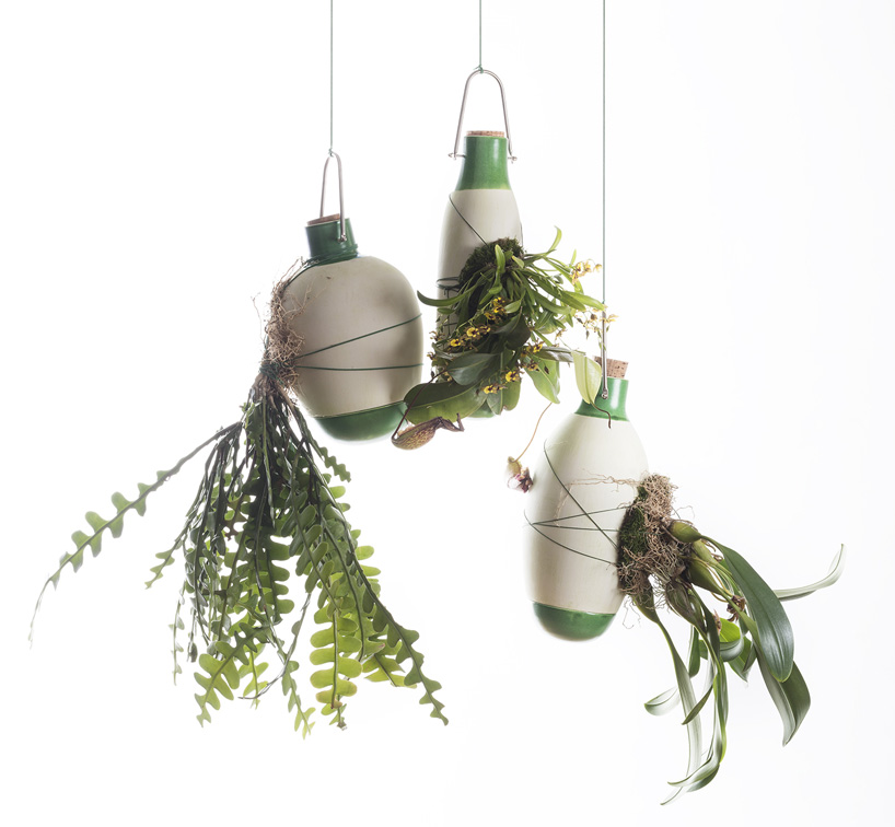 plants envelop dossofiorito's hanging epiphytes pots with their roots