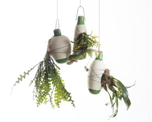 plants envelop dossofiorito's hanging epiphytes pots with their roots