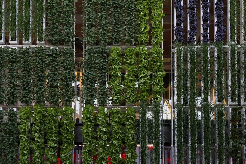 expo milano 2015 site visit final construction designboom
