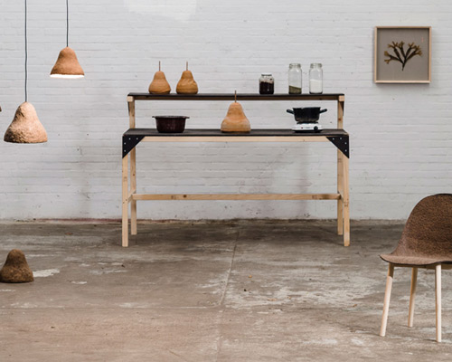 jonas edvard and nikolaj steenfatt create products using seaweed