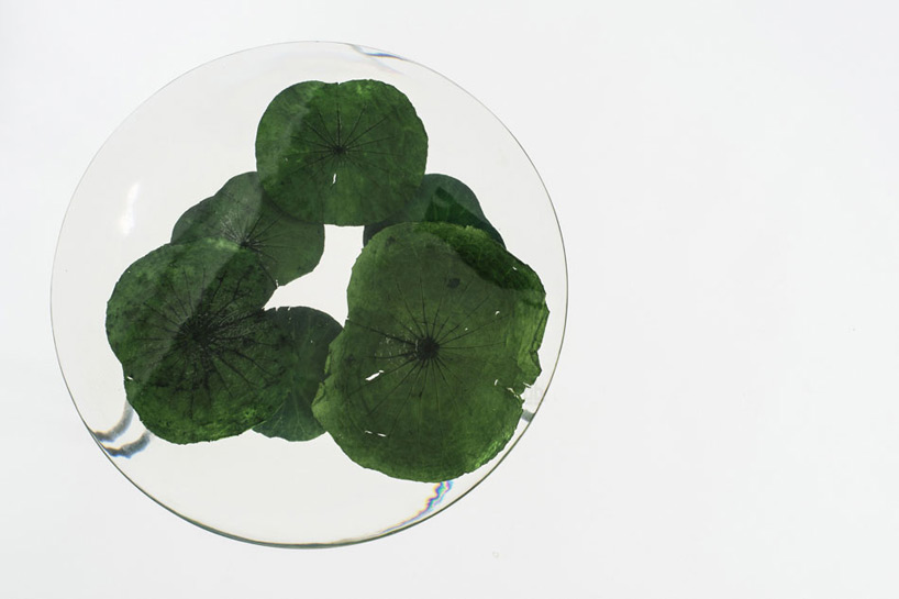 singapore_OliviaLee_FloatCutout3_designboom_026