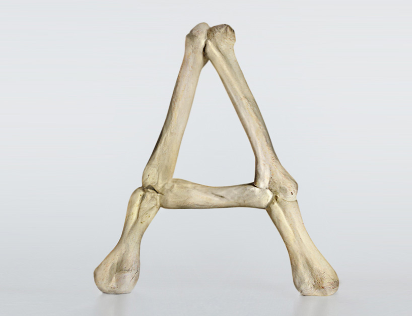 weights-of-arial-type-family-represented-as-the-human-body-designboom-06