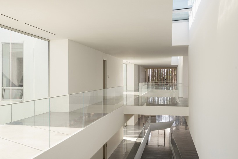polonsky academy of advanced studies building chyutin architects designboom