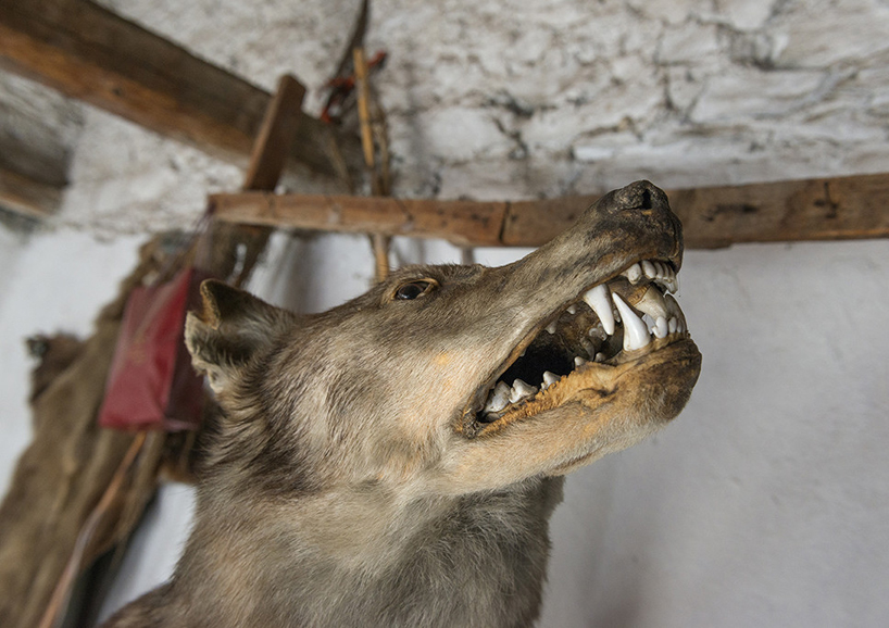 maria papadimitriou venice art biennale greek pavilion taxidermy shop