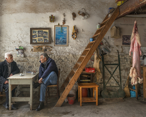 maria papadimitriou brings a greek taxidermy shop to the venice art biennale