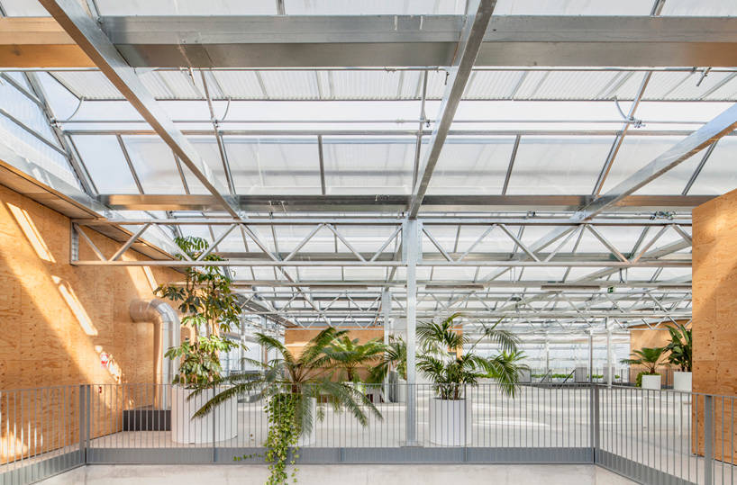 h arquitectes palaeontology research center barcelona designboom